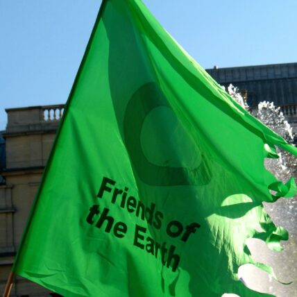 Photo of "Friends of the Earth" flag